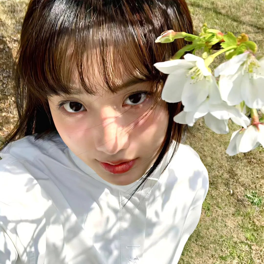 天外来菌
